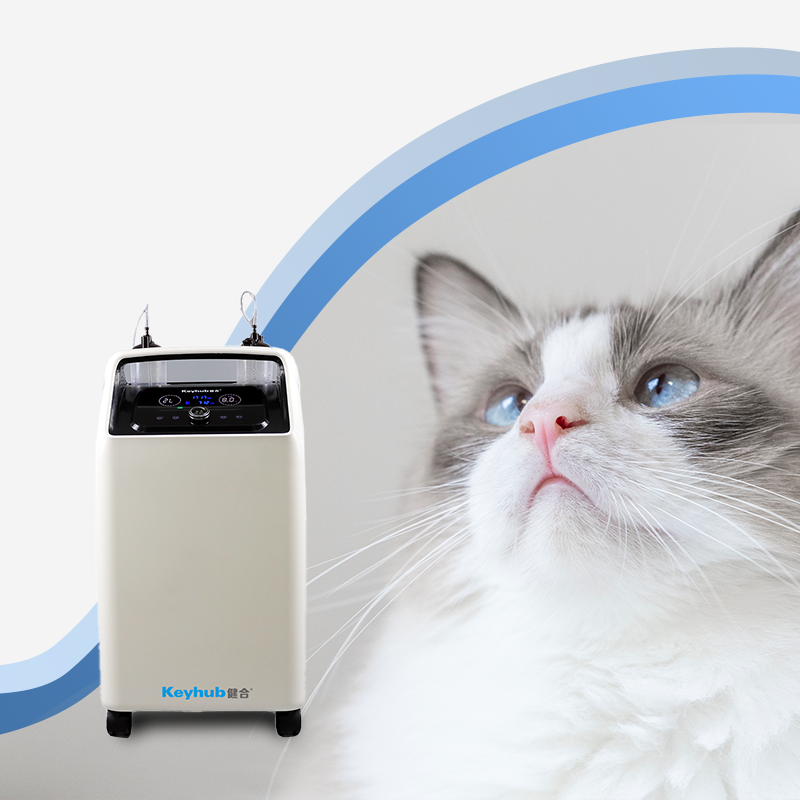 Oxygen Concentrator